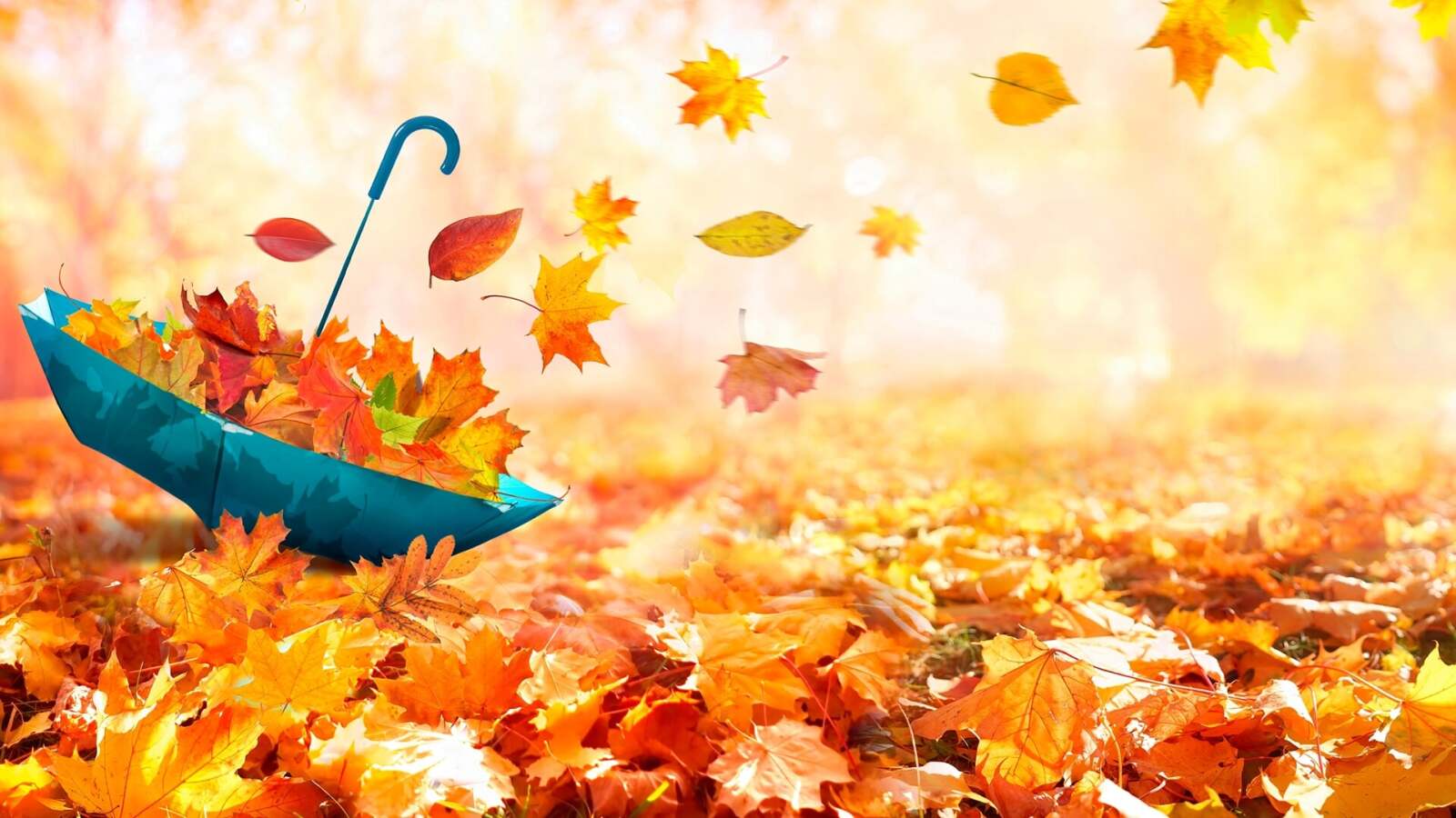 Herfstvakantie
