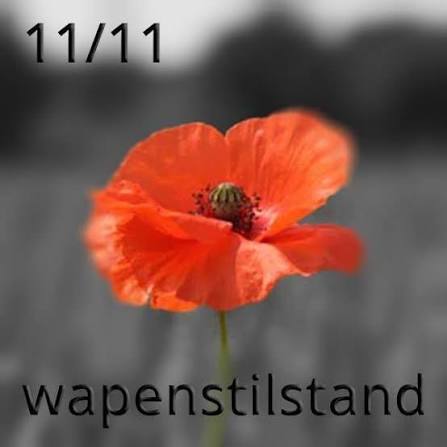 Wapenstilstand 11/11
