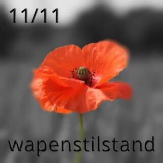 Wapenstilstand 11/11